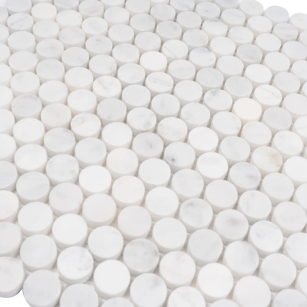 Bianco Carrara Penny Round Polished Marble Tile - Image 4