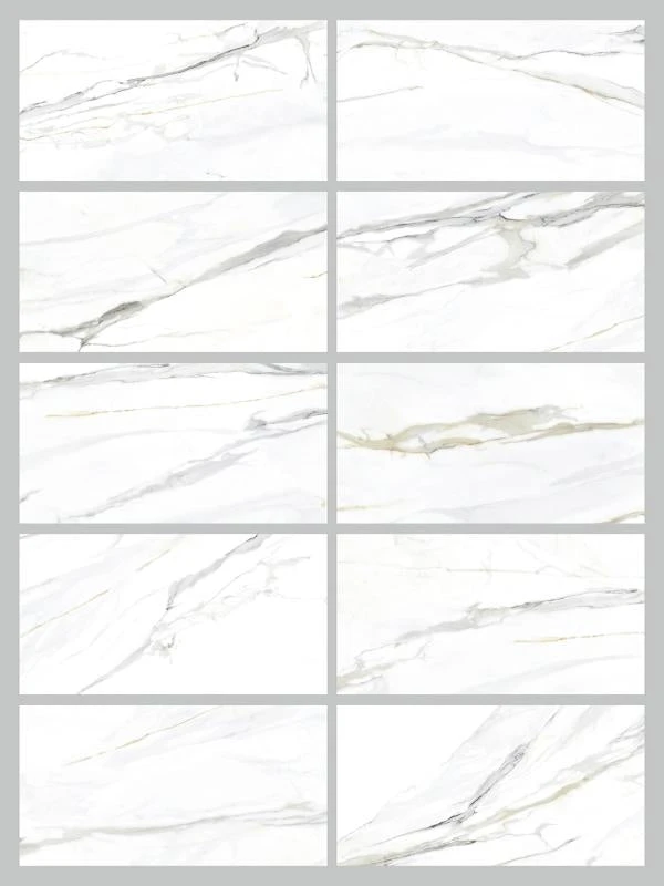 Emporio Calacatta Gold Matte 24x48 - Image 3