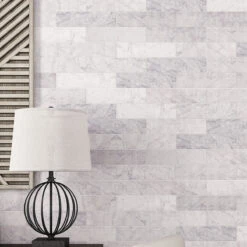 Carrara Dots Etched Subway Marble Tile