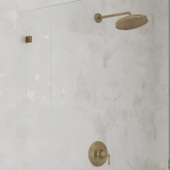 Gilded Age White Natural 20x40